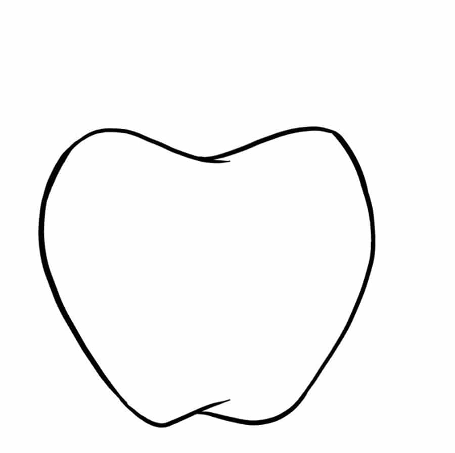 مرحله سوم نقاشی سیب