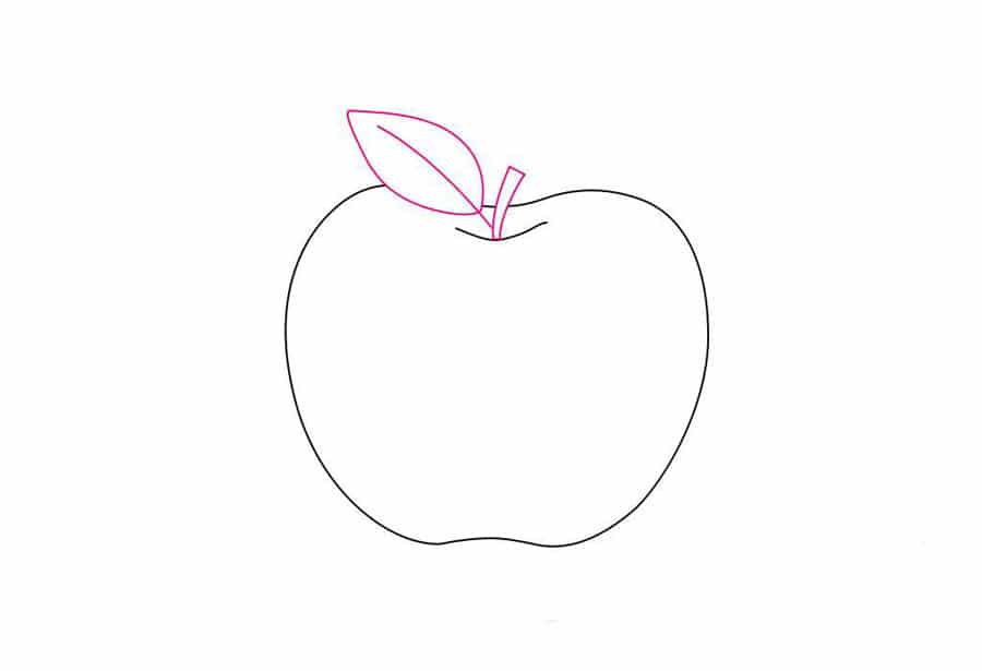برگ سیب