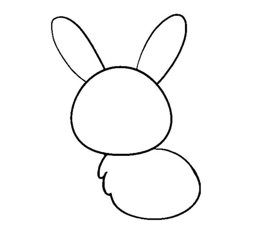 مرحله پنجم نقاشی خرگوش - پاک کردن خطوط اضافه بدن خرگوش