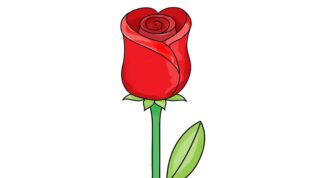 به زبانی ساده و همراه با تصویر کشیدن نقاشی گل رز قرمز یاد بگیرد | کاغذ رنگی