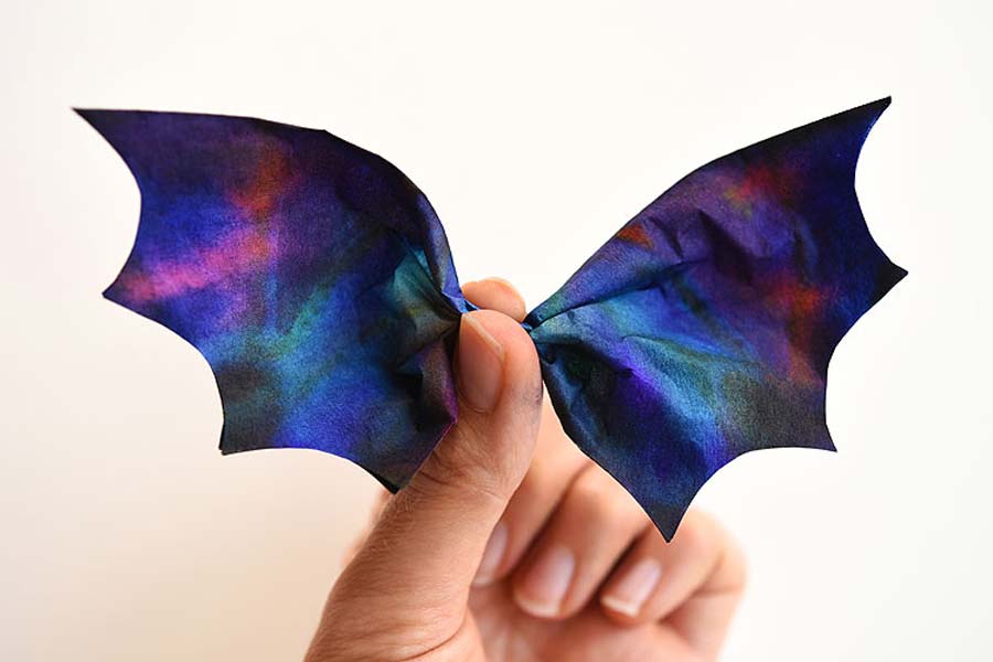 ساخت بال خفاش با فیلتر قهوه