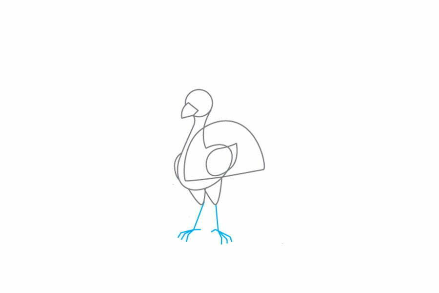 نقاشی طاووس