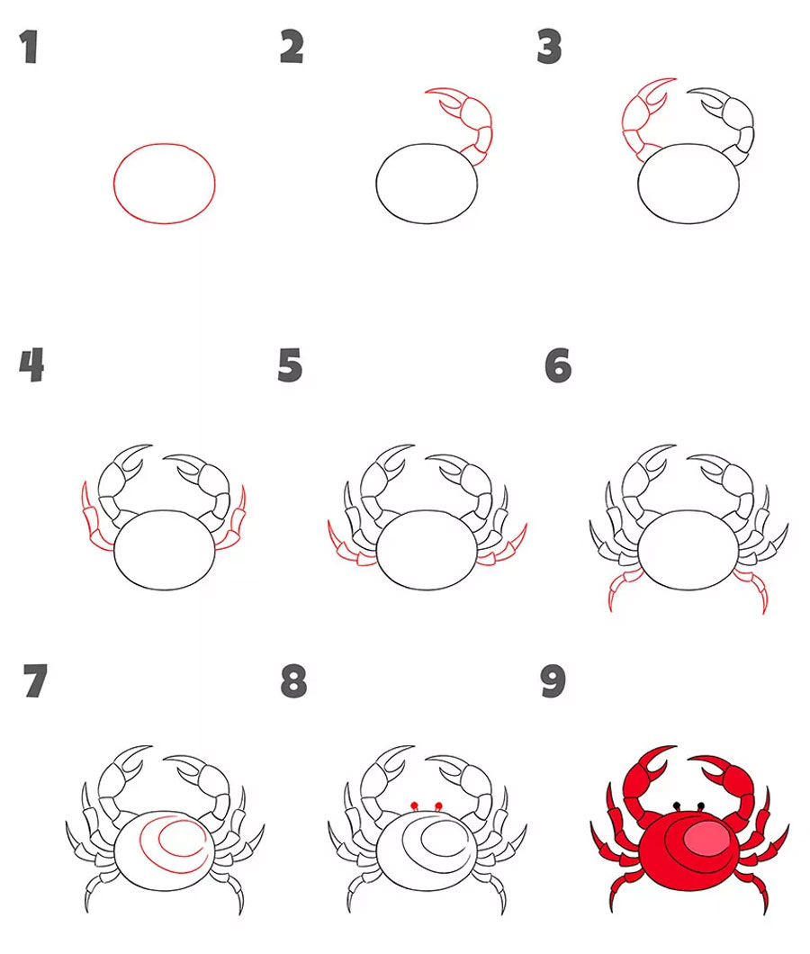 مراحل کشیدن نقاشی خرچنگ
