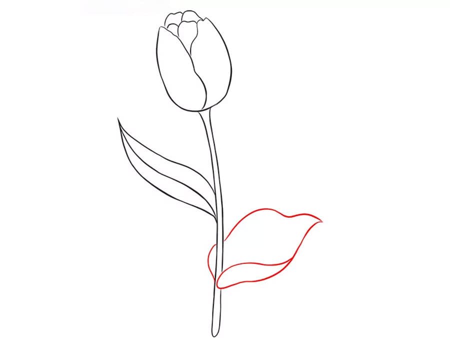 اضافه کردن برگ به نقاشی کودکانه گل لاله