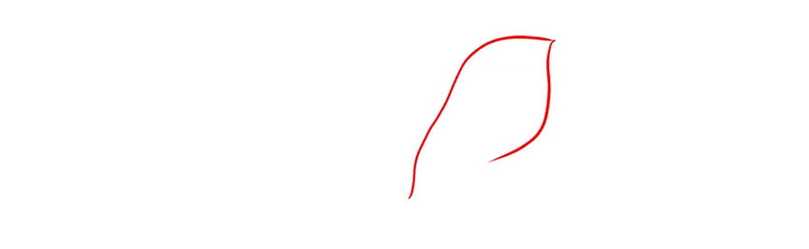 کشیدن طرح کلی نقاشی گل لیلیوم