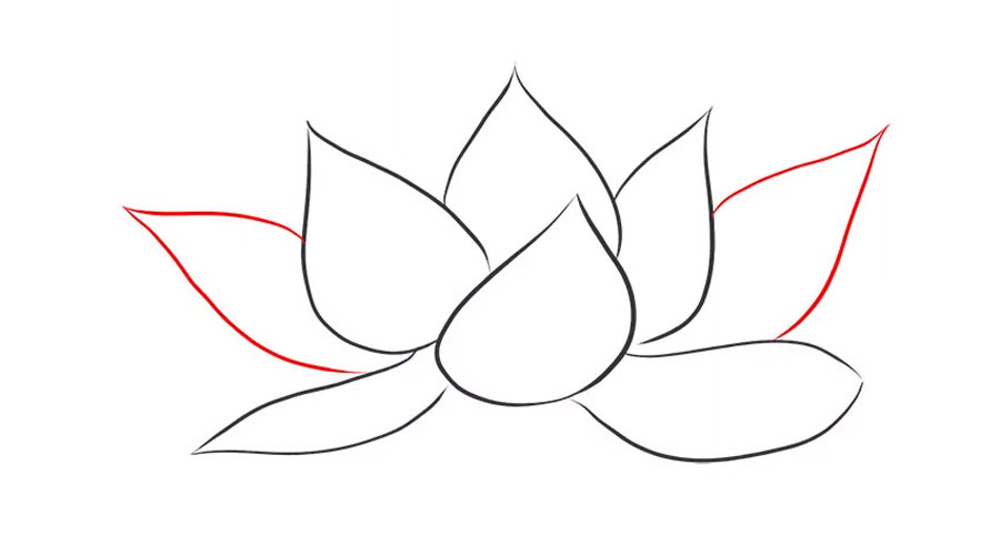 کشیدن گلبرگ ها در طرفین