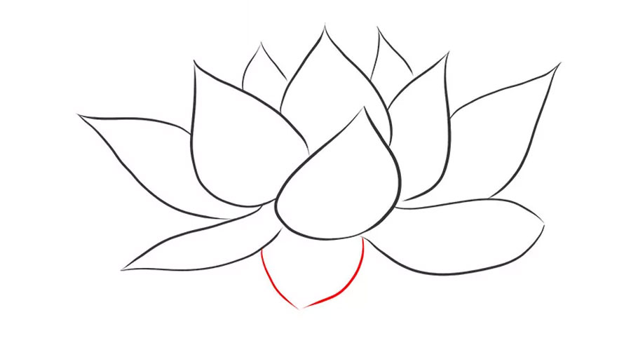 تکمیل طرح کلی نقاشی گل نیلوفر آبی