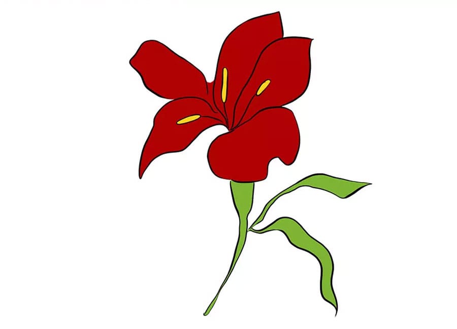 رنگ آمیزی نقاشی گل لیلیوم ساده