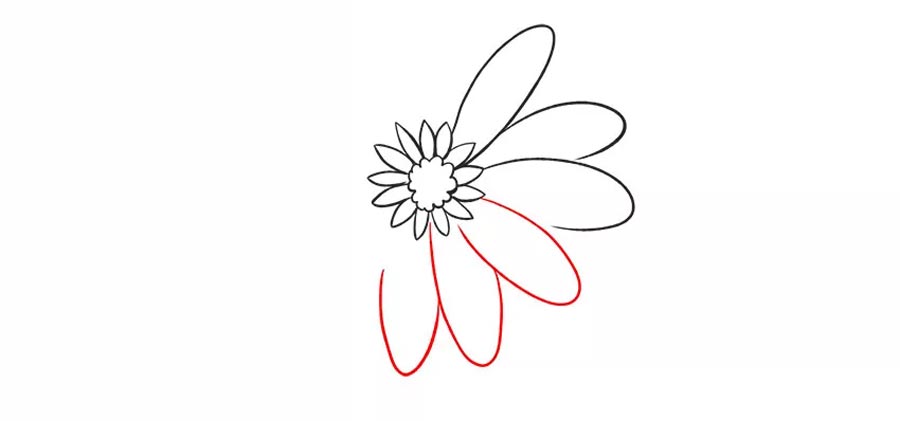 اضافه کردن چند گلبرگ بزرگ