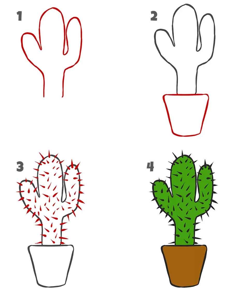 مراحل کشیدن نقاشی کاکتوس