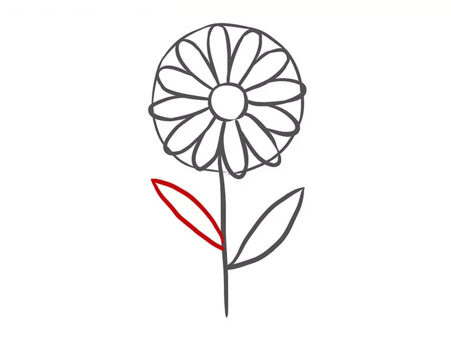 تکمیل برگ دوم نقاشی گل بابونه
