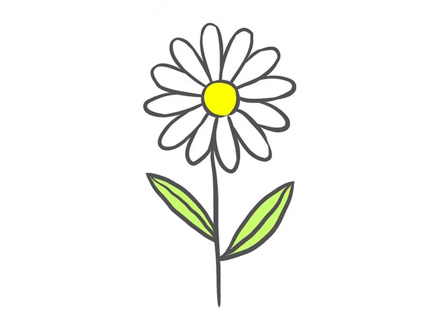 رنگ آمیزی نقاشی گل بابونه