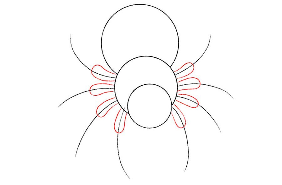 کشیدن پاهای نقاشی عنکبوت