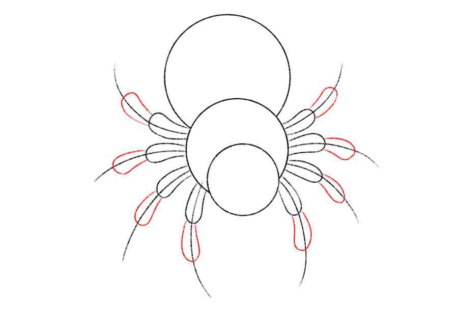 کشیدن بخش میانی پاهای عنکبوت
